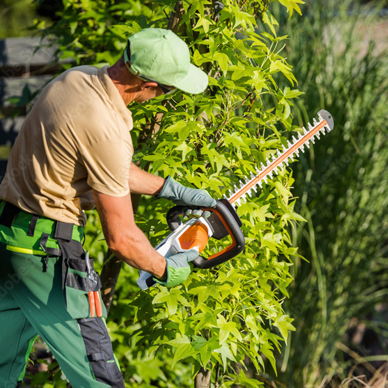 show me the best garden services category