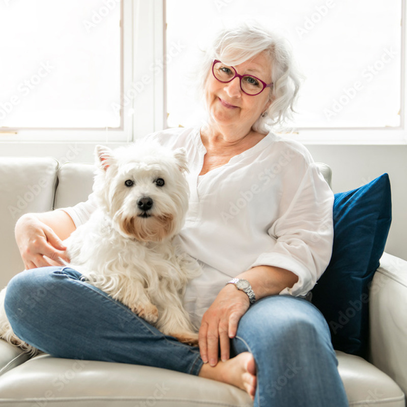 show me the best pet and house sitters category